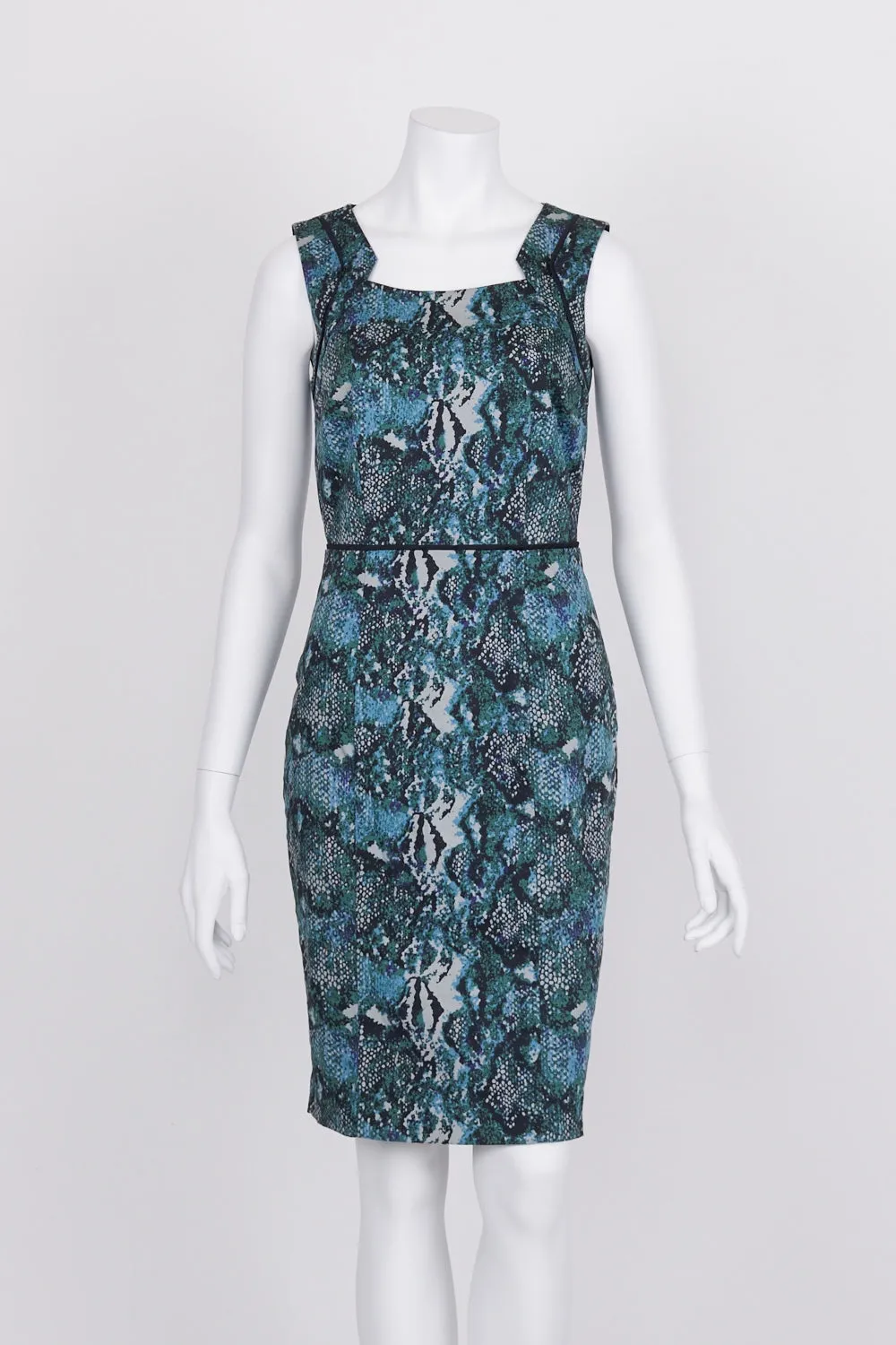 Jacqui E Patterned Sleeveless Dress 8